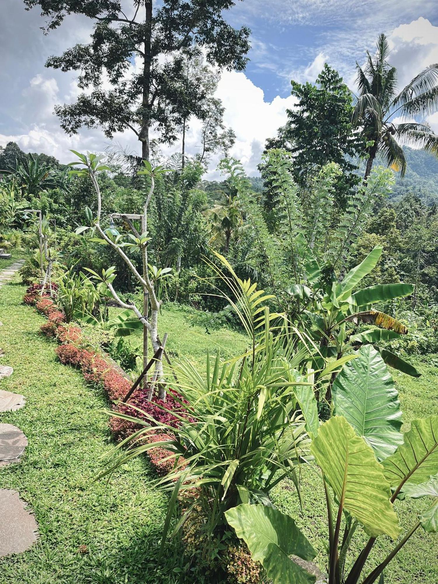 Papahan Bali Sidemen  Eksteriør bilde